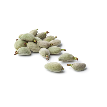 AMANDE FRAICHE 10X500G